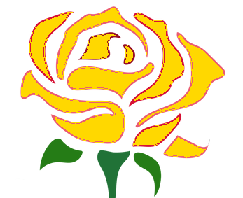 Yellow Rose